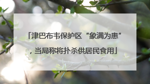 津巴布韦保护区“象满为患”，当局称将扑杀供居民食用