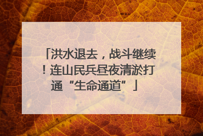 洪水退去，战斗继续！连山民兵昼夜清淤打通“生命通道”