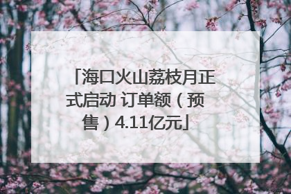 海口火山荔枝月正式启动 订单额（预售）4.11亿元