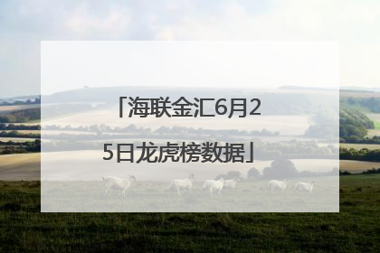 海联金汇6月25日龙虎榜数据