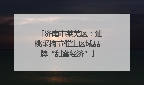 济南市莱芜区：油桃采摘节催生区域品牌“甜蜜经济”