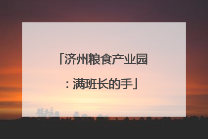 济州粮食产业园：满班长的手