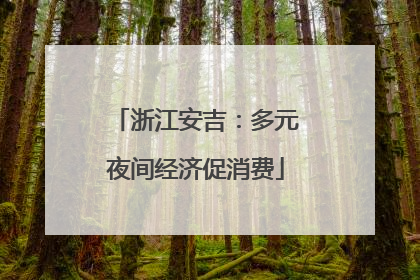 浙江安吉：多元夜间经济促消费