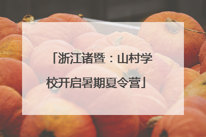 浙江诸暨：山村学校开启暑期夏令营