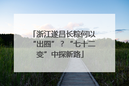 浙江遂昌长粽何以“出圈”？“七十二变”中探新路