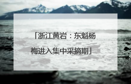 浙江黄岩：东魁杨梅进入集中采摘期