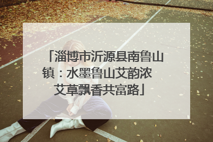 淄博市沂源县南鲁山镇：水墨鲁山艾韵浓 艾草飘香共富路