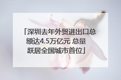 深圳去年外贸进出口总额达4.5万亿元 总量跃居全国城市首位