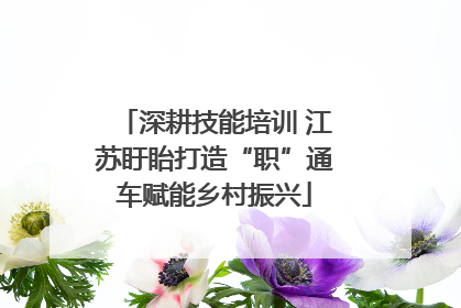 深耕技能培训 江苏盱眙打造“职”通车赋能乡村振兴
