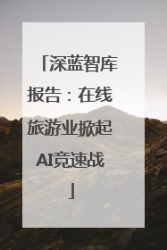 深蓝智库报告：在线旅游业掀起AI竞速战