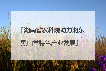湖南省农科院助力湘东黑山羊特色产业发展