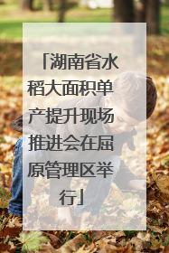 湖南省水稻大面积单产提升现场推进会在屈原管理区举行