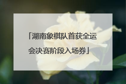 湖南象棋队首获全运会决赛阶段入场券