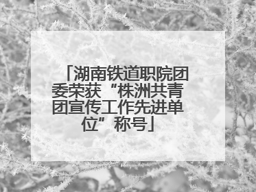 湖南铁道职院团委荣获“株洲共青团宣传工作先进单位”称号