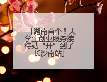 湖南首个！大学生创业服务接待站“开”到了长沙南站