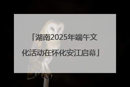 湖南2025年端午文化活动在怀化安江启幕