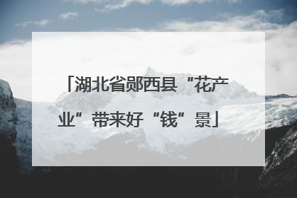 湖北省郧西县“花产业”带来好“钱”景