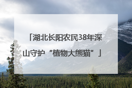 湖北长阳农民38年深山守护“植物大熊猫”