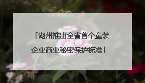 湖州推出全省首个童装企业商业秘密保护标准