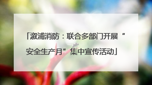 溆浦消防：联合多部门开展“安全生产月”集中宣传活动