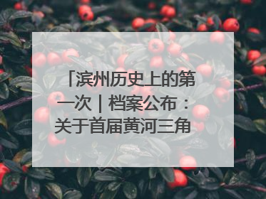 滨州历史上的第一次｜档案公布：关于首届黄河三角洲城市经济博览会暨发展论坛情况的总结报告