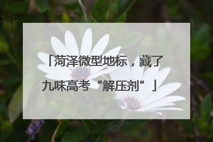 菏泽微型地标，藏了九味高考“解压剂”
