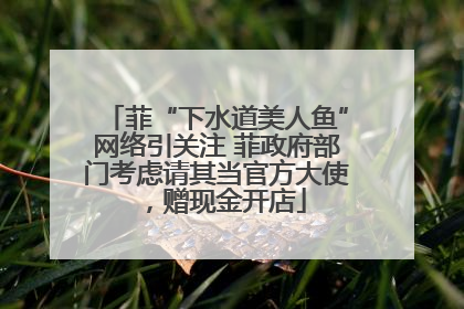 菲“下水道美人鱼”网络引关注 菲政府部门考虑请其当官方大使，赠现金开店