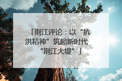 荆江评论：以“抗洪精神”筑起新时代“荆江大堤”