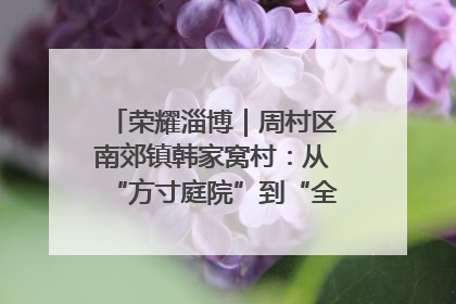 荣耀淄博｜周村区南郊镇韩家窝村：从“方寸庭院”到“全域文明”，乡村振兴的“美学革命”