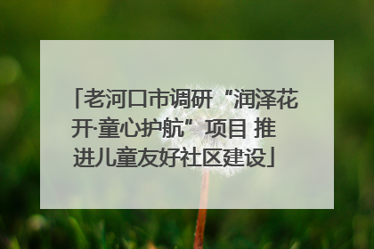 老河口市调研“润泽花开·童心护航”项目 推进儿童友好社区建设