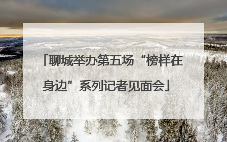 聊城举办第五场“榜样在身边”系列记者见面会