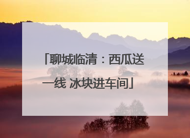 聊城临清：西瓜送一线 冰块进车间