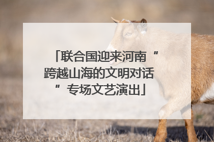 联合国迎来河南“跨越山海的文明对话”专场文艺演出