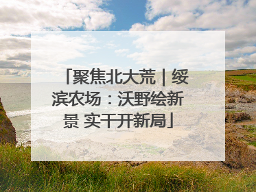聚焦北大荒｜绥滨农场：沃野绘新景 实干开新局