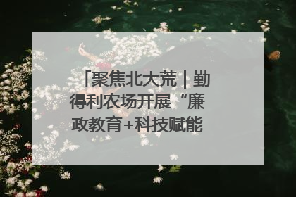 聚焦北大荒｜勤得利农场开展“廉政教育+科技赋能”主题党日活动