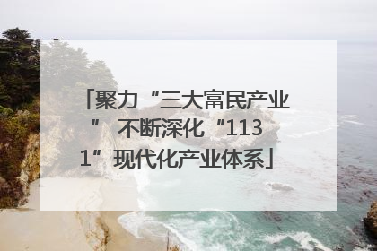 聚力“三大富民产业” 不断深化“1131”现代化产业体系