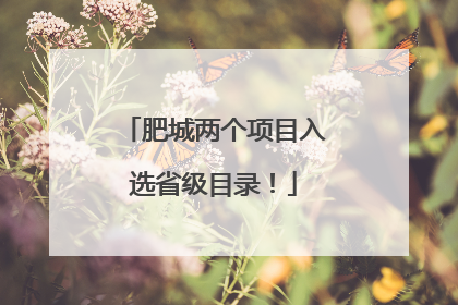 肥城两个项目入选省级目录！