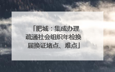 肥城：集成办理 疏通社会组织年检换届换证堵点、难点