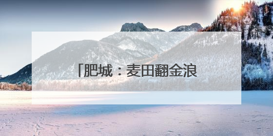 肥城：麦田翻金浪藏粮有“智”方