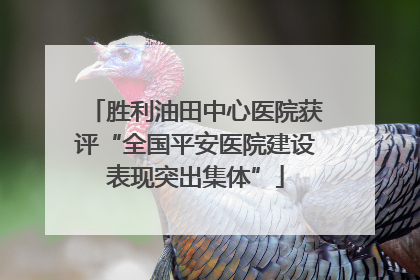 胜利油田中心医院获评“全国平安医院建设表现突出集体”