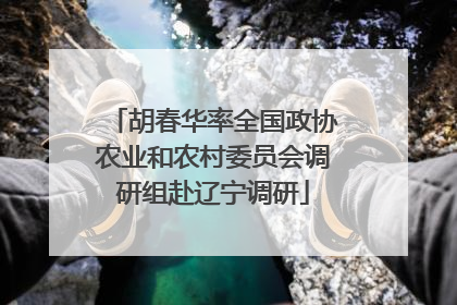 胡春华率全国政协农业和农村委员会调研组赴辽宁调研