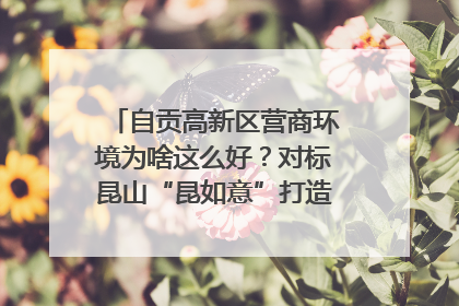 自贡高新区营商环境为啥这么好？对标昆山“昆如意”打造自贡“高兴办”｜美好生活有“盐”味