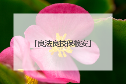 良法良技保粮安