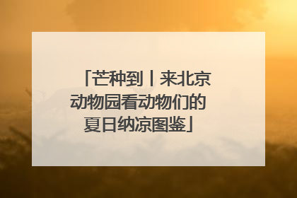 芒种到丨来北京动物园看动物们的夏日纳凉图鉴