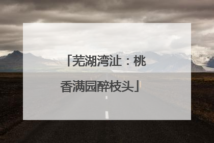 芜湖湾沚：桃香满园醉枝头