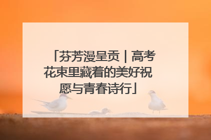 芬芳漫呈贡｜高考花束里藏着的美好祝愿与青春诗行