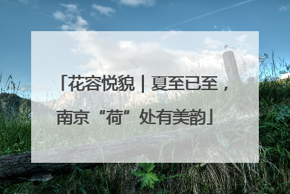 花容悦貌｜夏至已至，南京“荷”处有美韵