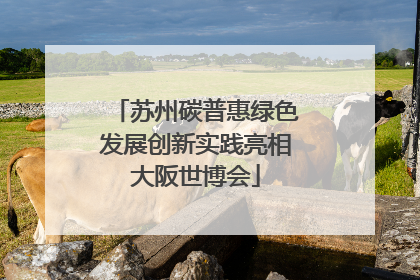 苏州碳普惠绿色发展创新实践亮相大阪世博会