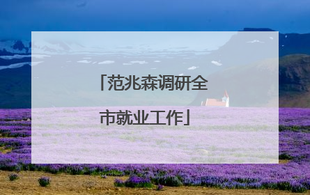 范兆森调研全市就业工作