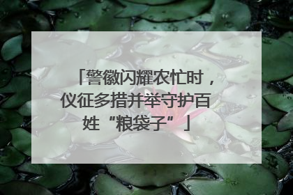 警徽闪耀农忙时，仪征多措并举守护百姓“粮袋子”